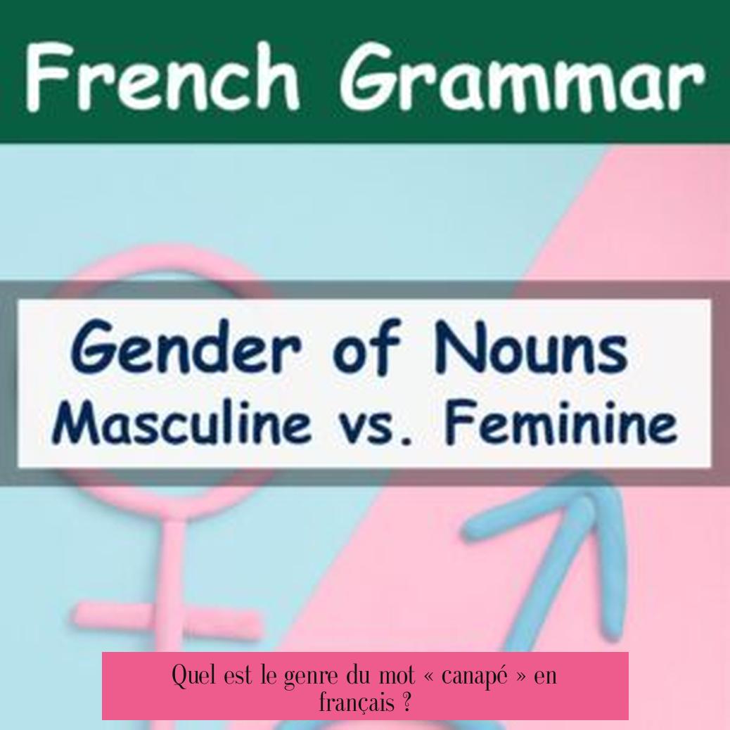 Quel est le genre du mot « canapé » en français ?