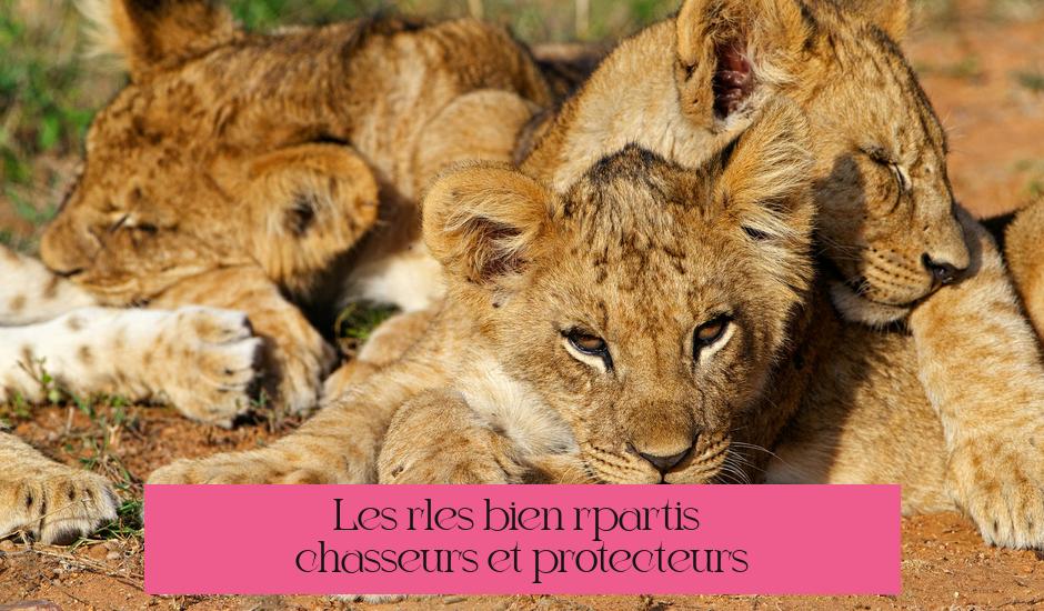 Les rôles bien répartis : chasseurs et protecteurs
