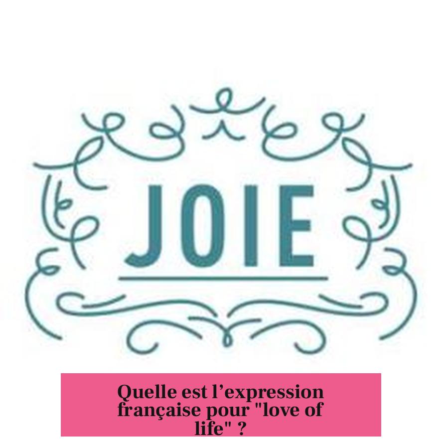 Quelle est l’expression française pour "love of life" ?