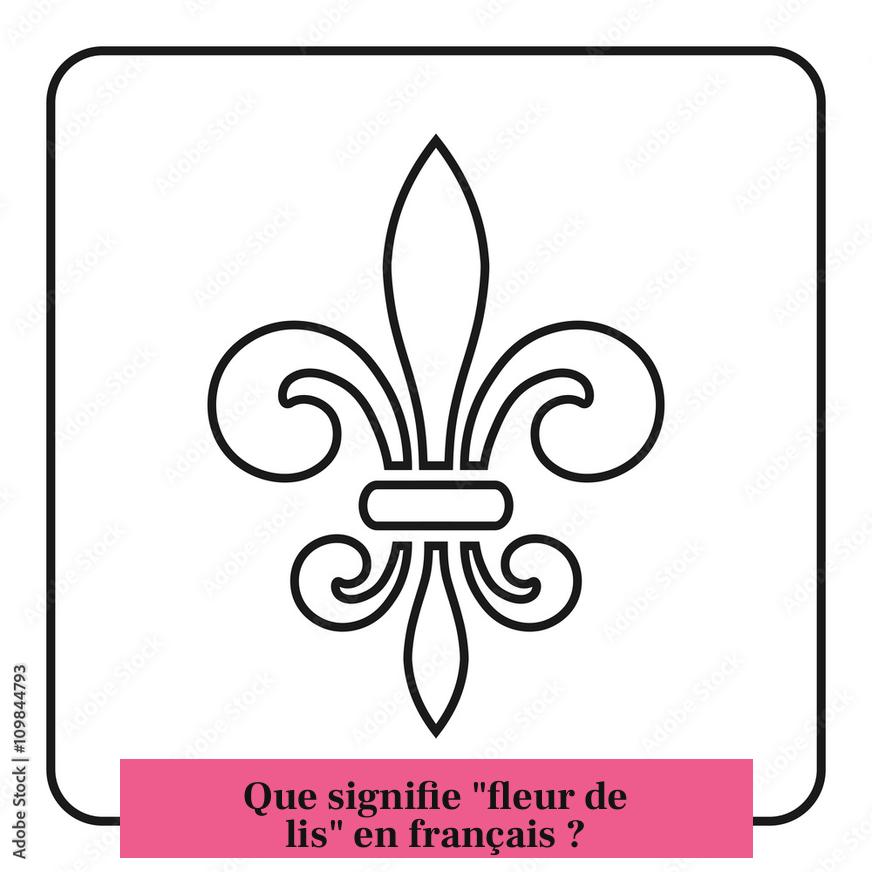 Que signifie "fleur de lis" en français ?