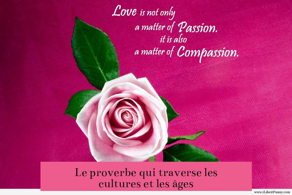 Le proverbe qui traverse les cultures et les âges