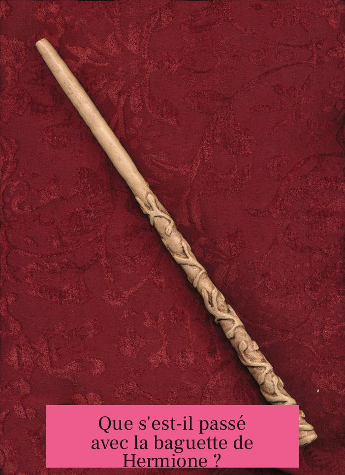 Que s'est-il passé avec la baguette de Hermione ?