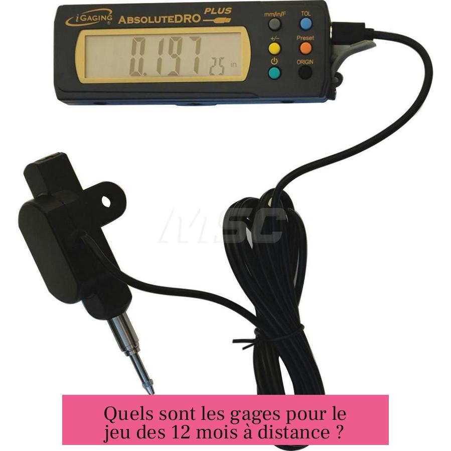 Quels sont les gages pour le jeu des 12 mois à distance ?