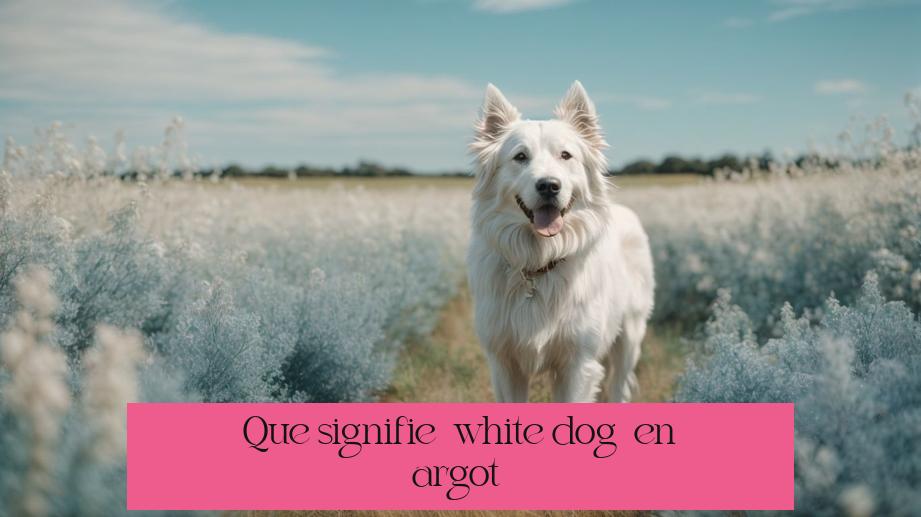 Que signifie « white dog » en argot ?