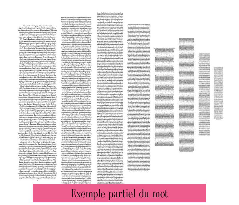 Exemple partiel du mot