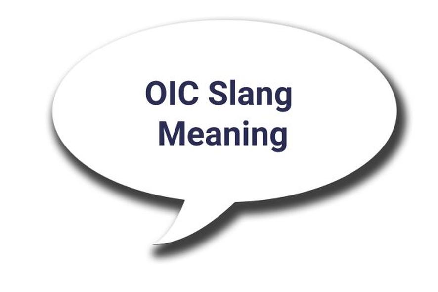Bien sûr, OIC n’est pas un one-shot. Parfois, il sert à exprimer un mélange d’empathie et de compréhension. Par exemple, si un collègue annonce qu'il est malade, on peut répondre "OIC, soigne-toi bien". Ce n’est pas juste une poignée de mots, c’est un message qui montre qu’on a lu entre les lignes et qu’on se soucie un peu.