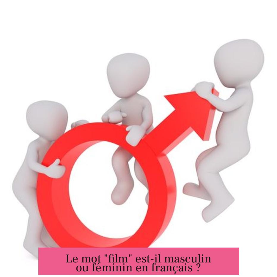 Le mot "film" est-il masculin ou féminin en français ?