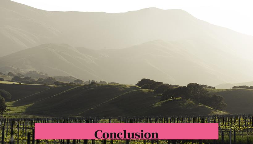 Conclusion