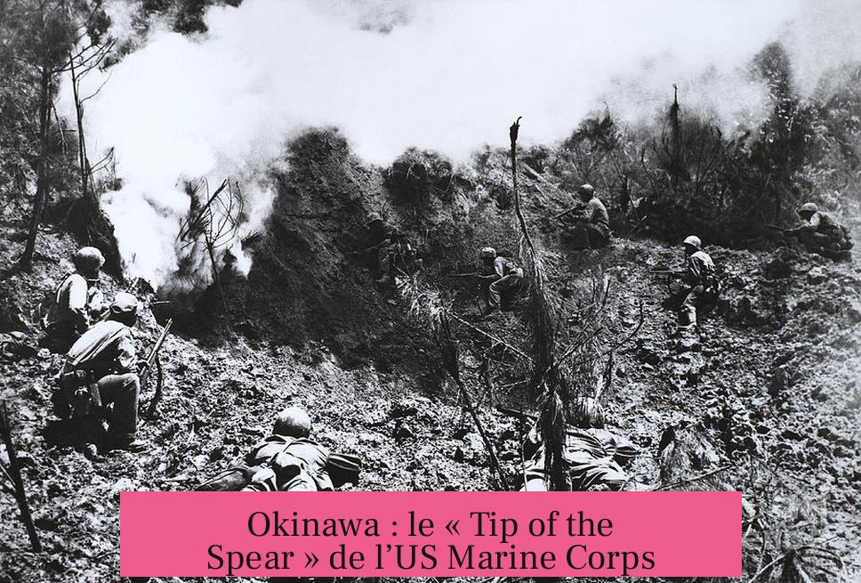 Okinawa : le « Tip of the Spear » de l’US Marine Corps