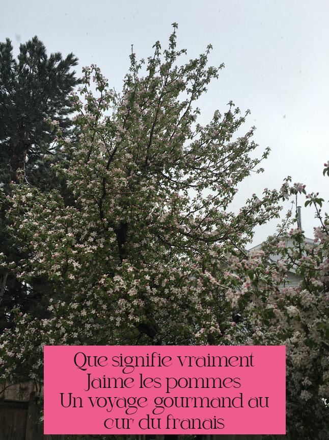 Que signifie vraiment "J'aime les pommes" ? Un voyage gourmand au cœur du français