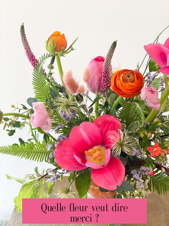 Quelle fleur veut dire merci ?
