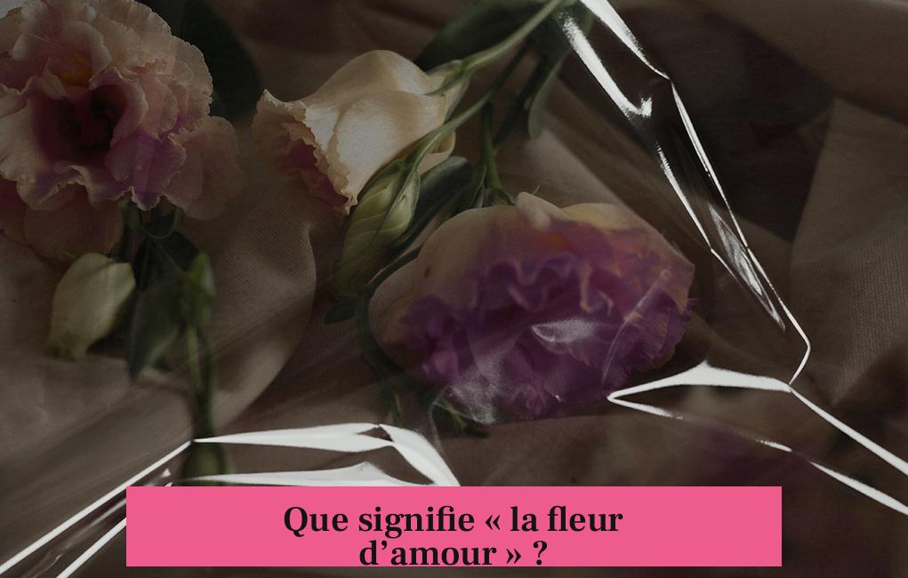 Que signifie « la fleur d’amour » ?
