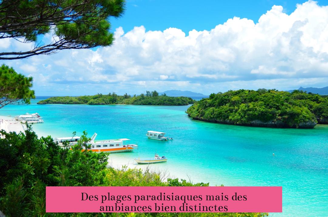 Des plages paradisiaques mais des ambiances bien distinctes