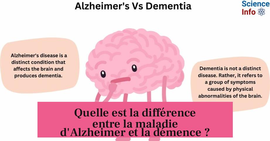 Quelle est la différence entre la maladie d'Alzheimer et la démence ?