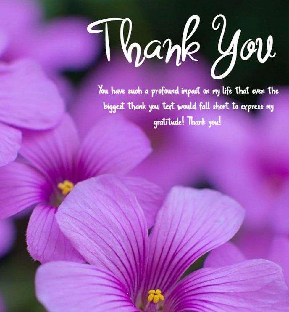 Tenez un journal de gratitude où vous notez chaque jour ce que vous appréciez chez cette personne. Ce geste aide à formuler un message encore plus touchant.