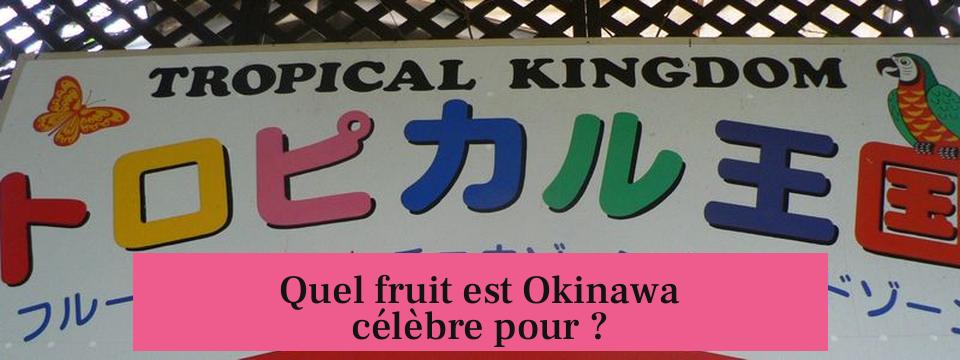 Quel fruit est Okinawa célèbre pour ?