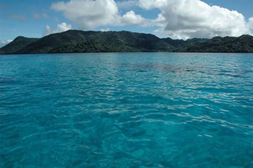 Qu’en est-il des autres maladies à Okinawa ?