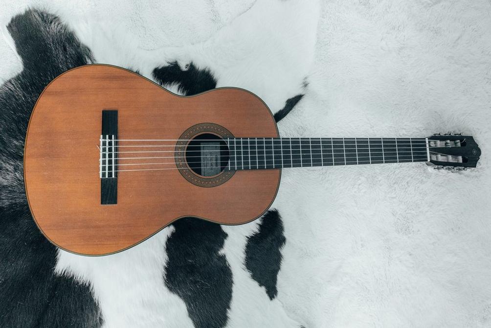 Un patrimoine vivant : la chanson française aujourd’hui