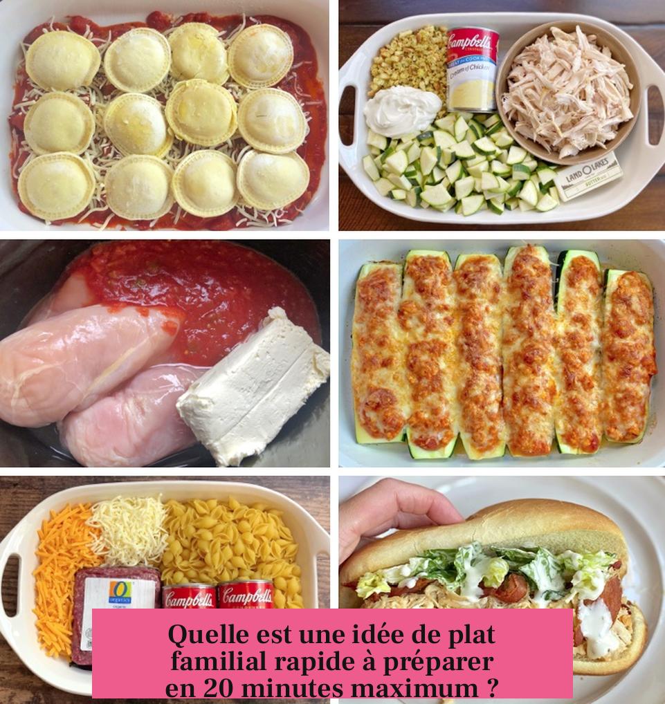 Quelle est une idée de plat familial rapide à préparer en 20 minutes maximum ?