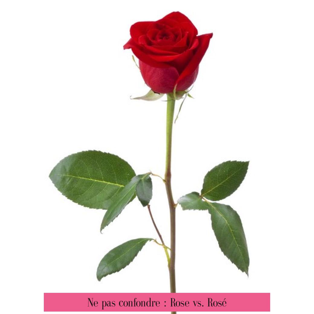 Ne pas confondre : Rose vs. Rosé