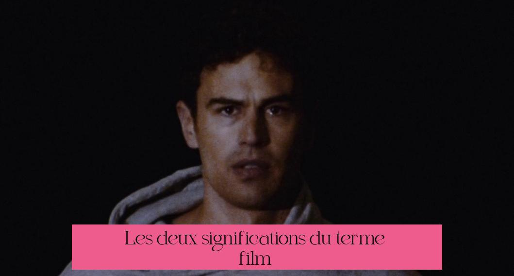 Les deux significations du terme « film »