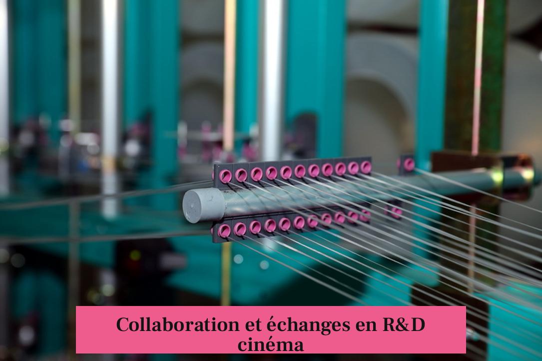 Collaboration et échanges en R&D cinéma