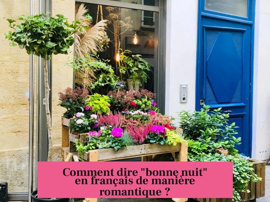 Comment dire "bonne nuit" en français de manière romantique ?