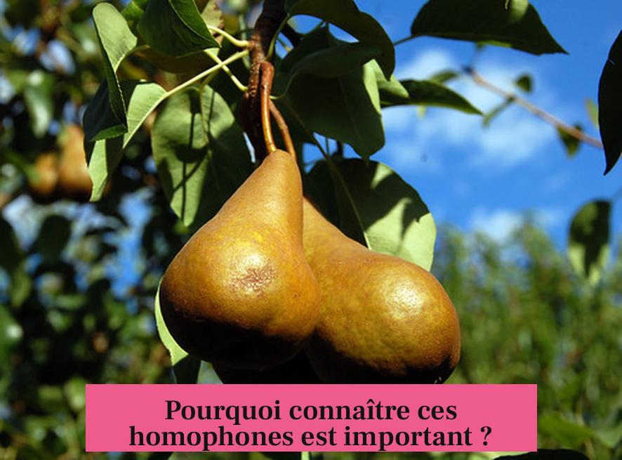 Pourquoi connaître ces homophones est important ?
