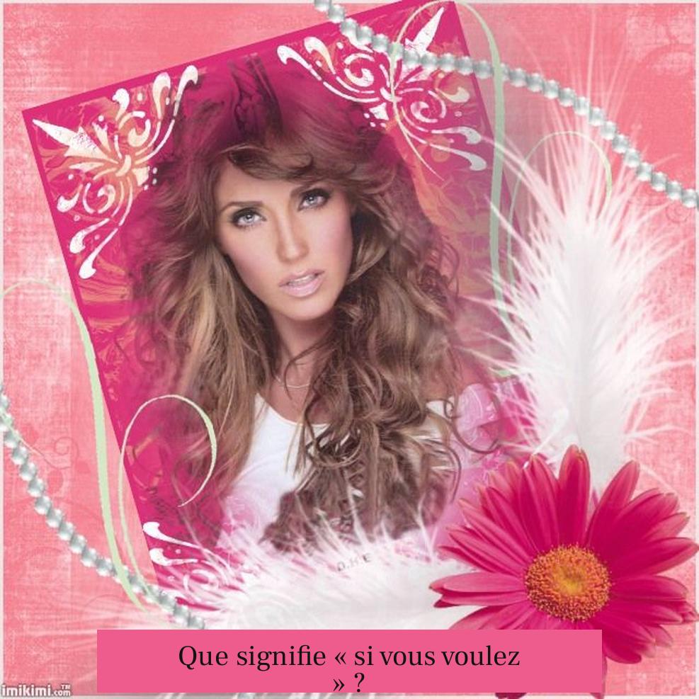 Que signifie « si vous voulez » ?