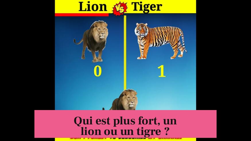 Qui est plus fort, un lion ou un tigre ?