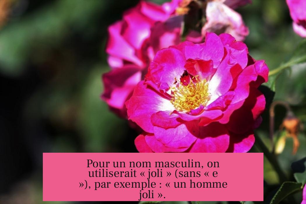 Pour un nom masculin, on utiliserait « joli » (sans « e »), par exemple : « un homme joli ».