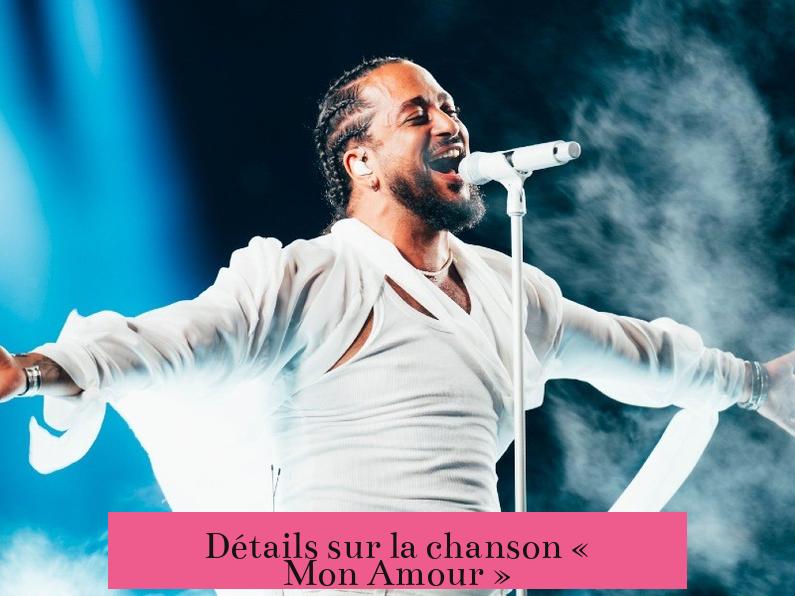 Détails sur la chanson « Mon Amour »