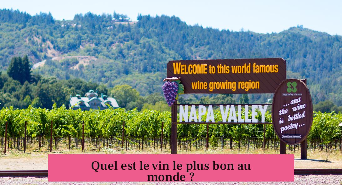 Quel est le vin le plus bon au monde ?