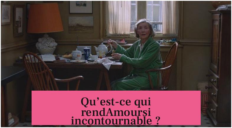 Qu’est-ce qui rendAmoursi incontournable ?