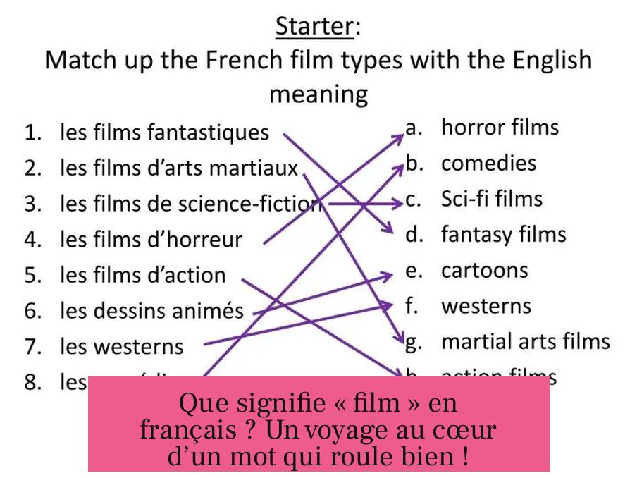 Que signifie « film » en français ? Un voyage au cœur d’un mot qui roule bien !