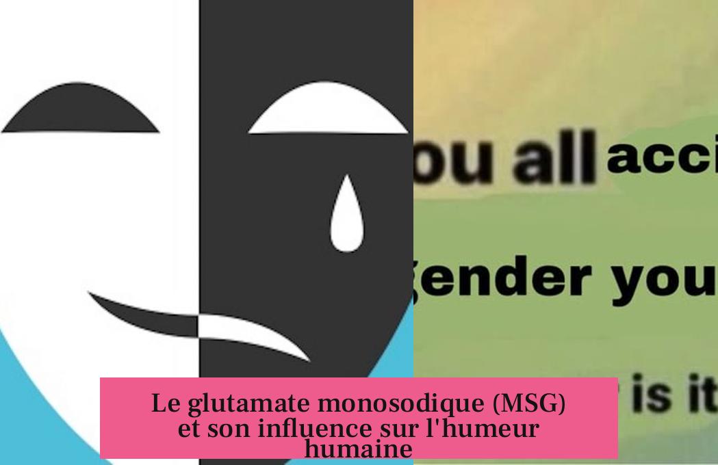 Le glutamate monosodique (MSG) et son influence sur l'humeur humaine