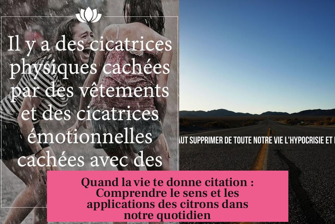Quand la vie te donne citation : Comprendre le sens et les applications des citrons dans notre quotidien