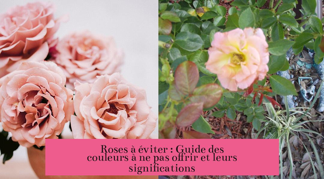 Roses à éviter : Guide des couleurs à ne pas offrir et leurs significations