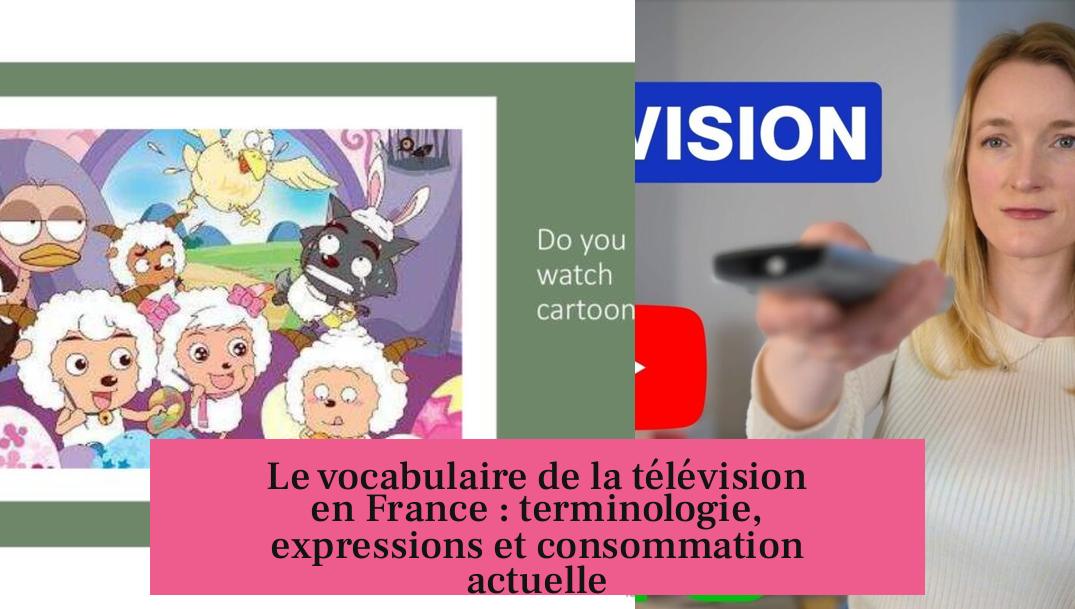Le vocabulaire de la télévision en France : terminologie, expressions et consommation actuelle