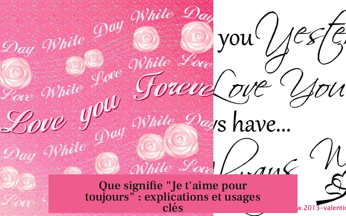 Que signifie "Je t'aime pour toujours" : explications et usages clés
