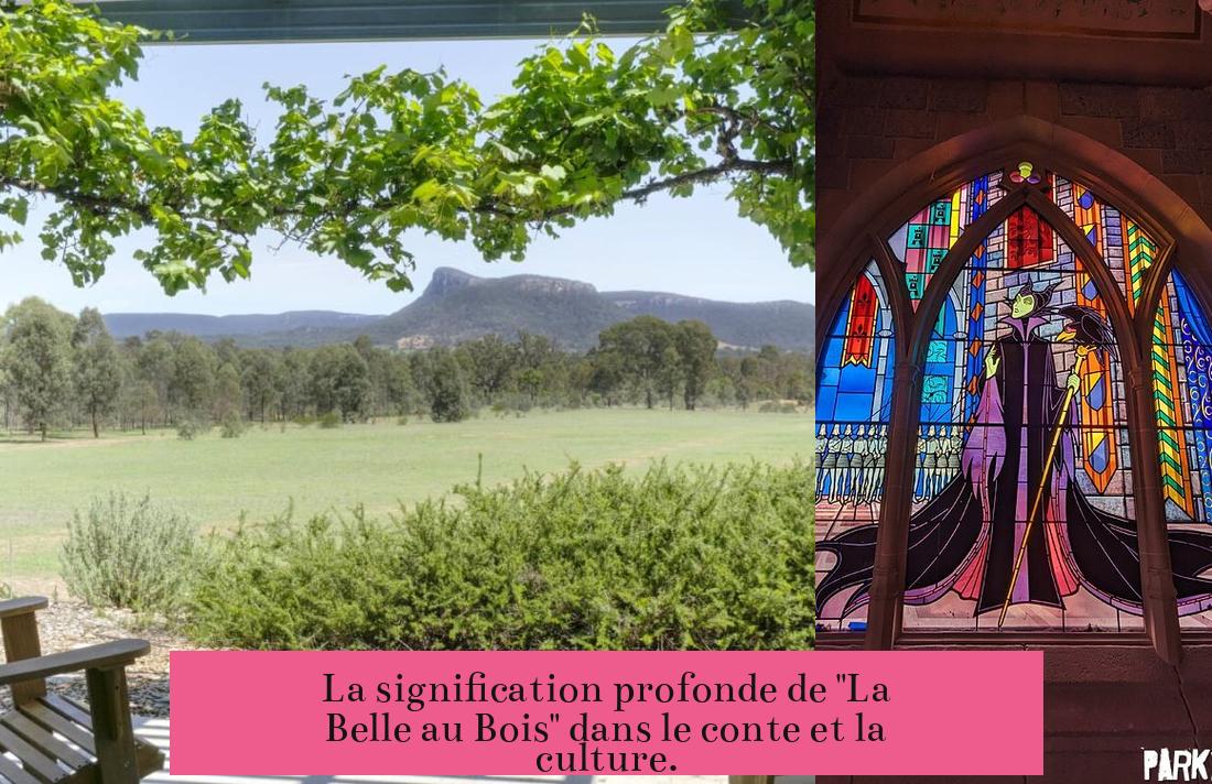La signification profonde de "La Belle au Bois" dans le conte et la culture.