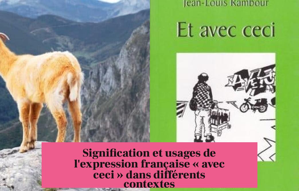 Signification et usages de l'expression française « avec ceci » dans différents contextes