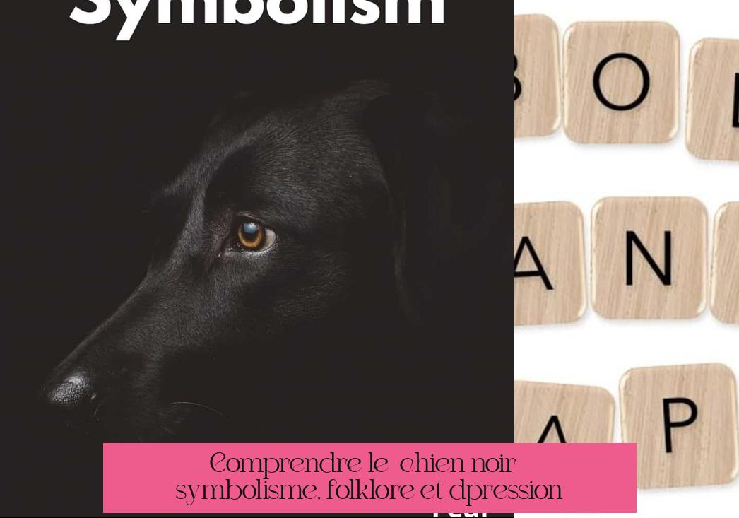 Comprendre le « chien noir » : symbolisme, folklore et dépression