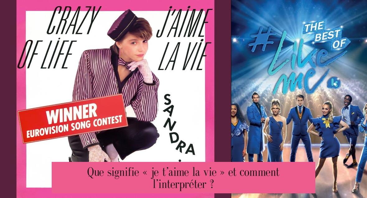Que signifie « je t’aime la vie » et comment l’interpréter ?