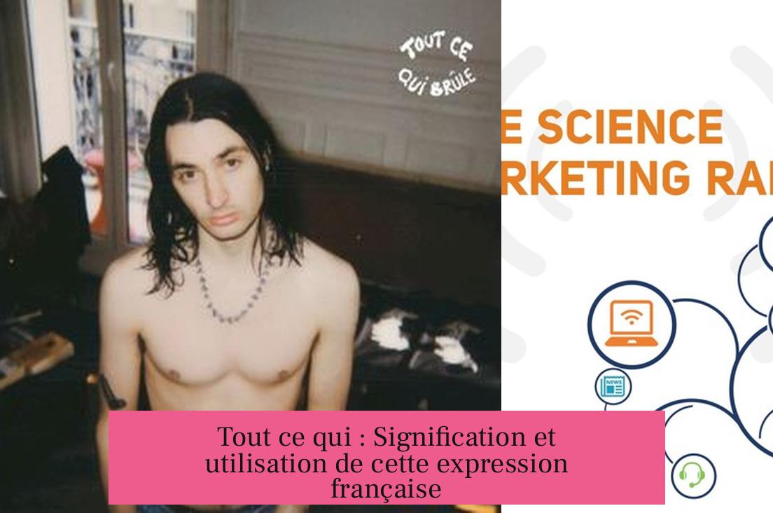 Tout ce qui : Signification et utilisation de cette expression française