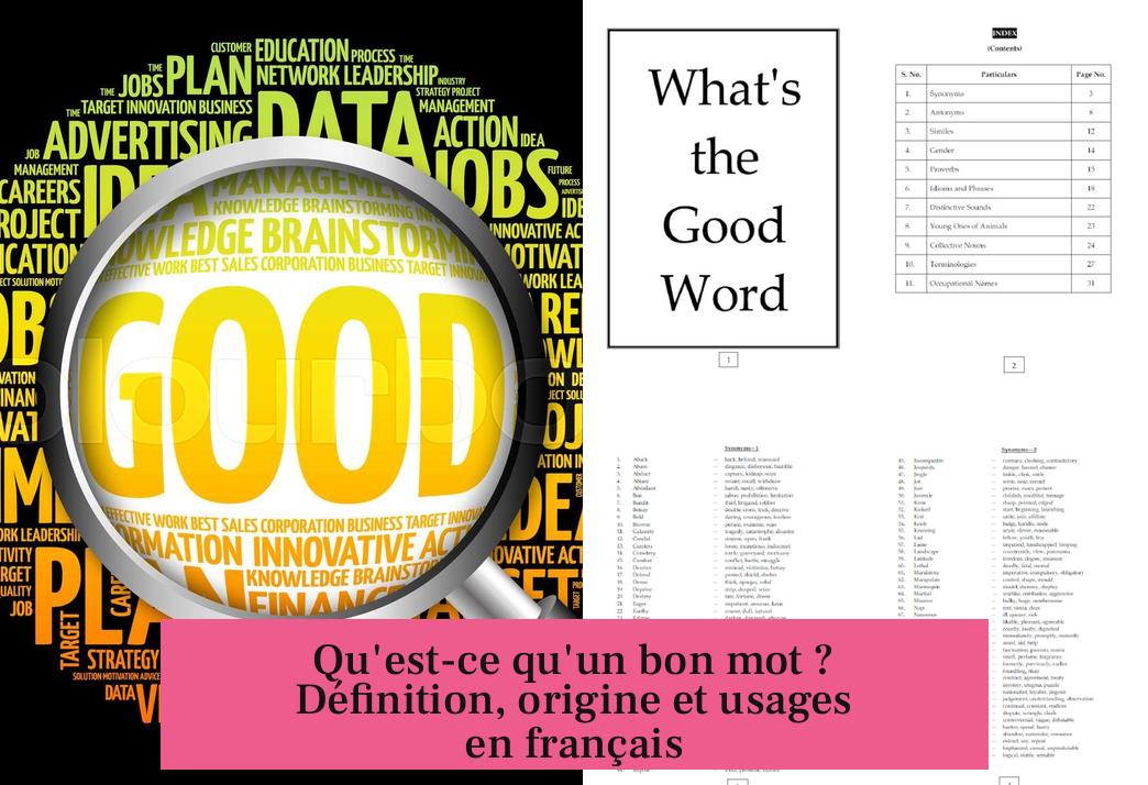 Qu'est-ce qu'un bon mot ? Définition, origine et usages en français