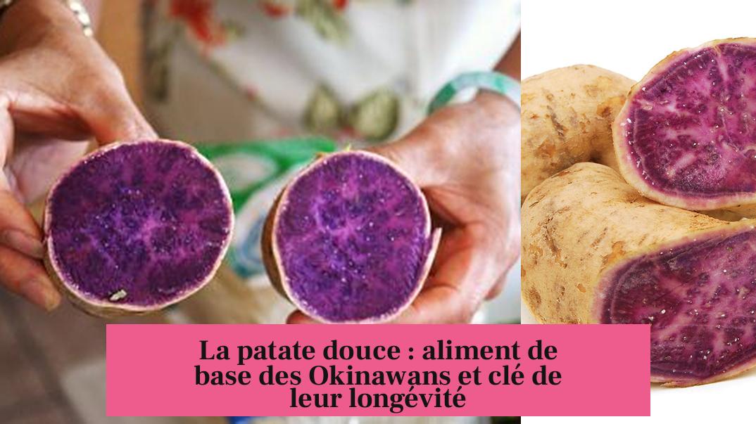 La patate douce : aliment de base des Okinawans et clé de leur longévité
