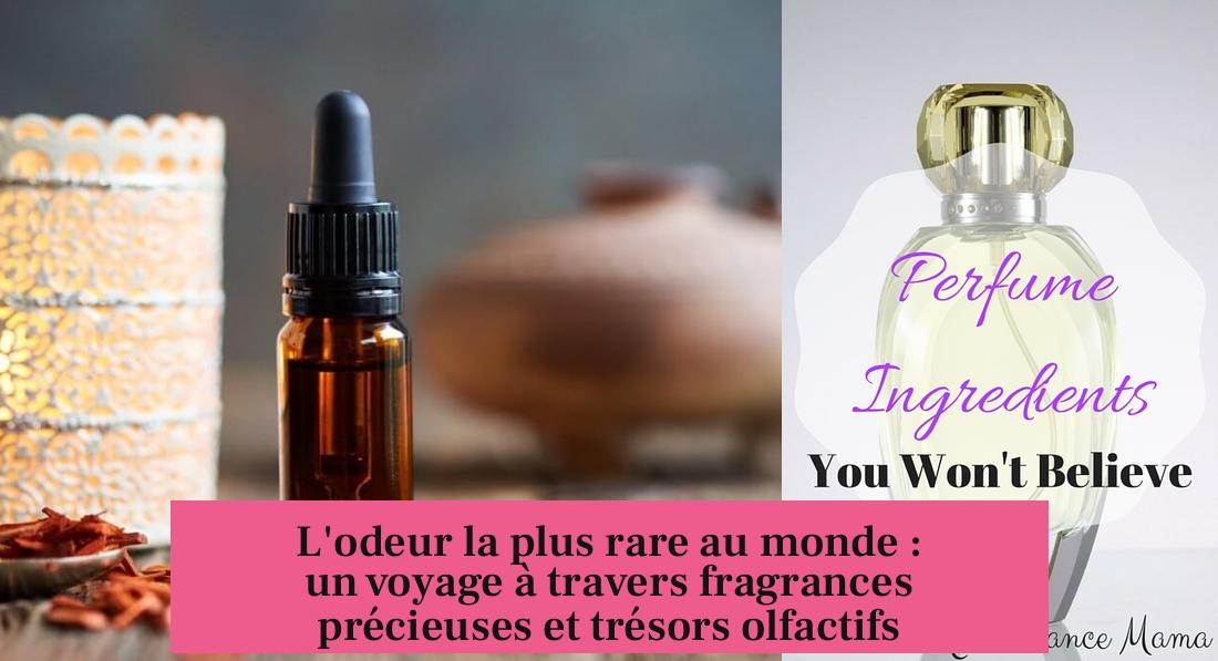 L'odeur la plus rare au monde : un voyage à travers fragrances précieuses et trésors olfactifs