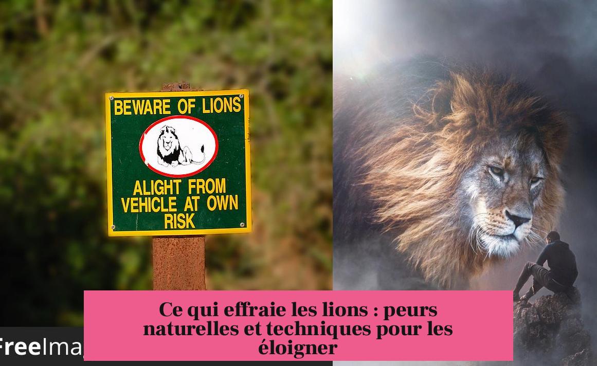 Ce qui effraie les lions : peurs naturelles et techniques pour les éloigner