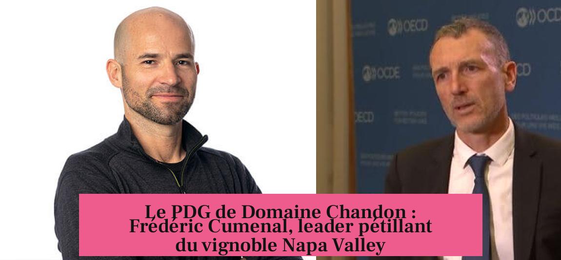 Le PDG de Domaine Chandon : Frédéric Cumenal, leader pétillant du vignoble Napa Valley